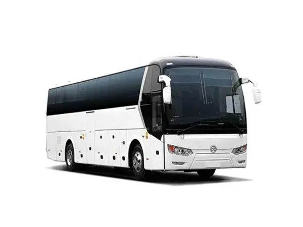 Автобусы на 55 мест